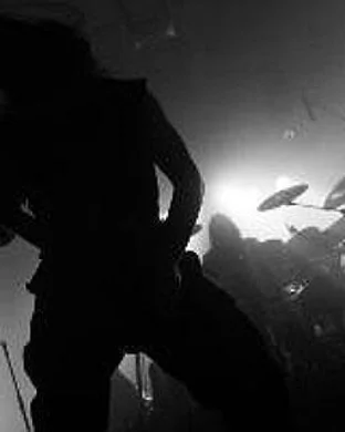 Spite Tampa