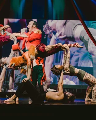 Cirque Alice Sarasota