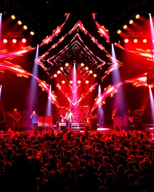 311 Tampa