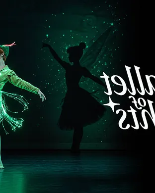 Ballet Of Lights Tampa