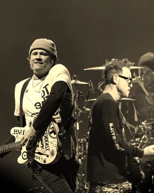 Blink-182 Tampa