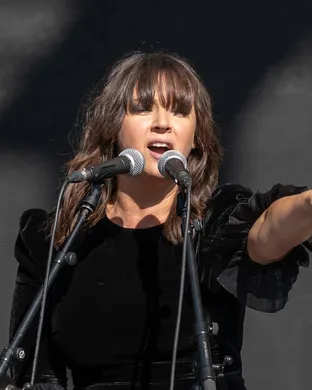 Cat Power Tampa