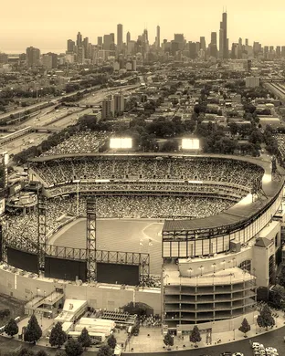 Chicago White Sox St Petersburg
