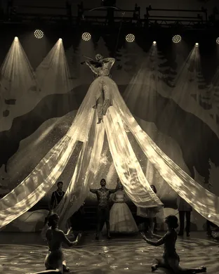 Cirque Musica Holiday Wonderland Sarasota