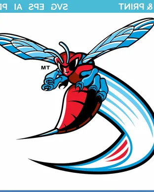 Delaware State Hornets Tampa