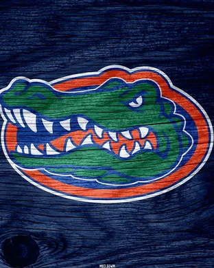 Florida Gators Basketball Tampa