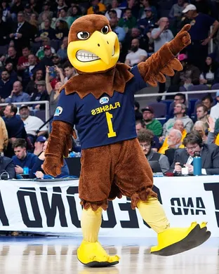 Kent State Golden Flashes Football Tampa