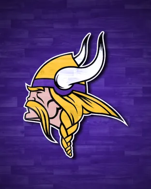 Minnesota Vikings Tampa