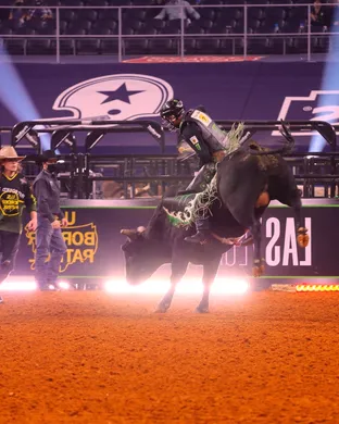 PBR - Professional Bull Riders Tampa