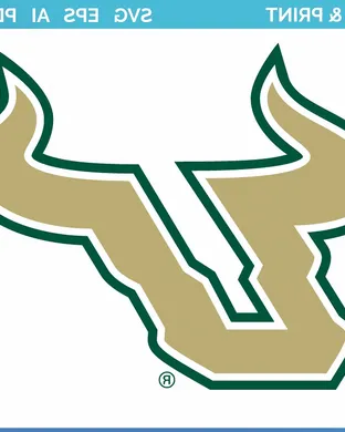 South Florida Bulls Tampa