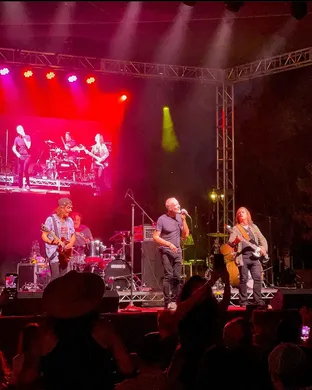 Spin Doctors Clearwater