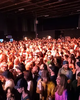 Stick Figure Tampa