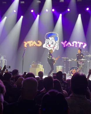 Stray Cats Clearwater