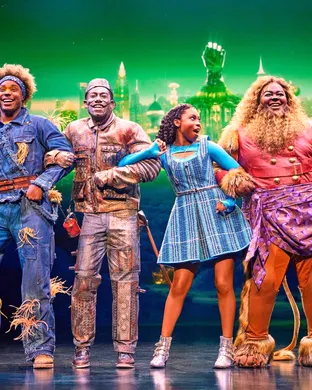 The Wiz Sarasota